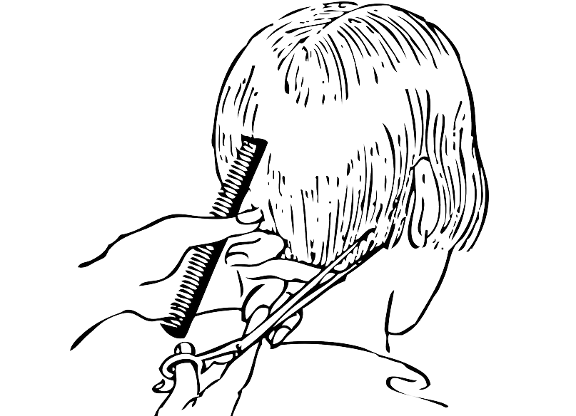 बीरबल की बुद्धिमानी के किस्से