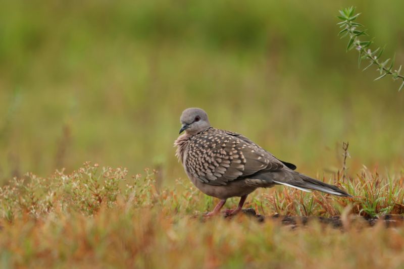 100+ Top Hindi Story For Kids