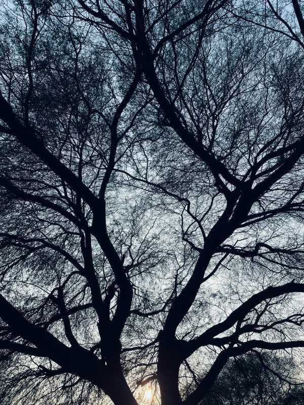 Hindi Stories for Kids