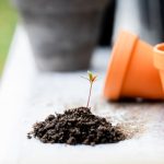 Hindi Inspirational stories