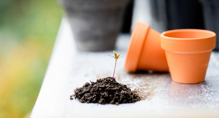 Hindi Inspirational stories