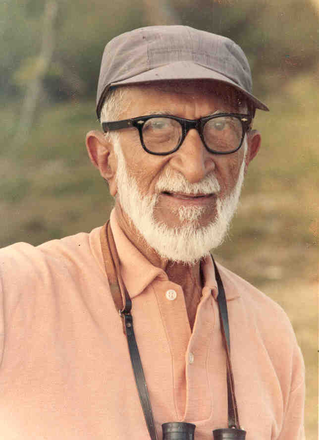 Salim Ali Ornithologist 