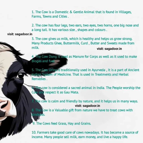 class 6 the cow essay